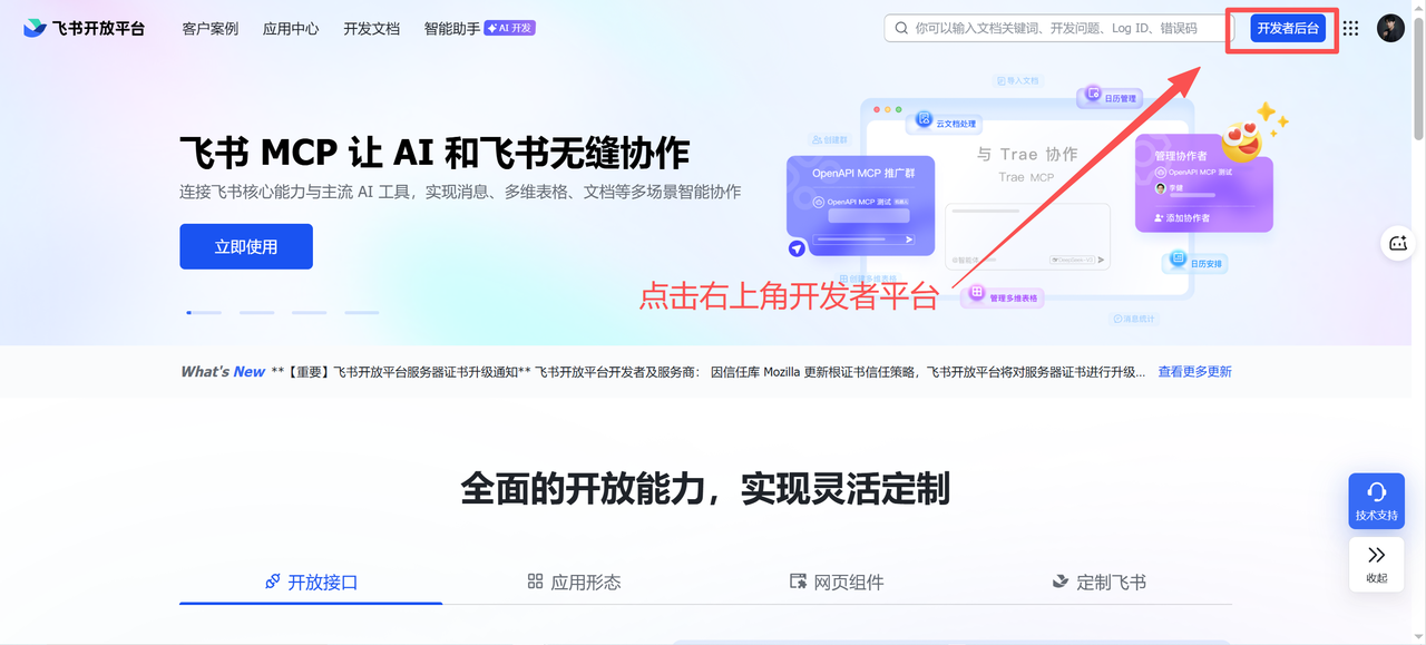 飞书开放平台入口